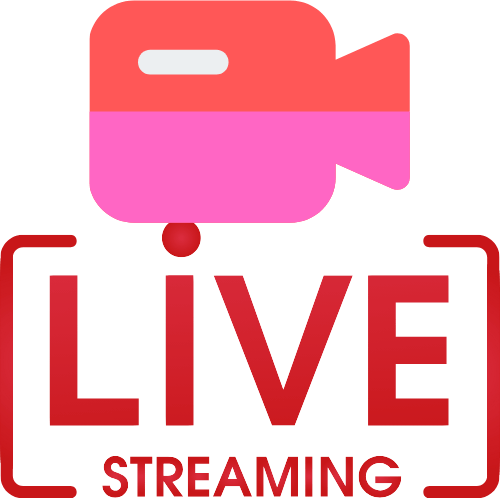 Cam 2 Cam Roulette